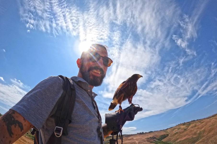 Falconry Experience 504