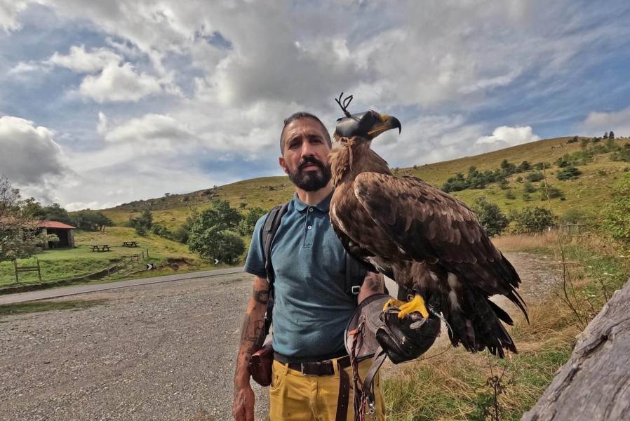 Falconry Experience 503