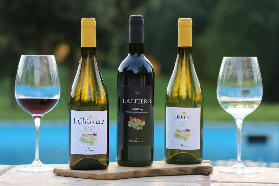 Wine tasting and winery tour 258