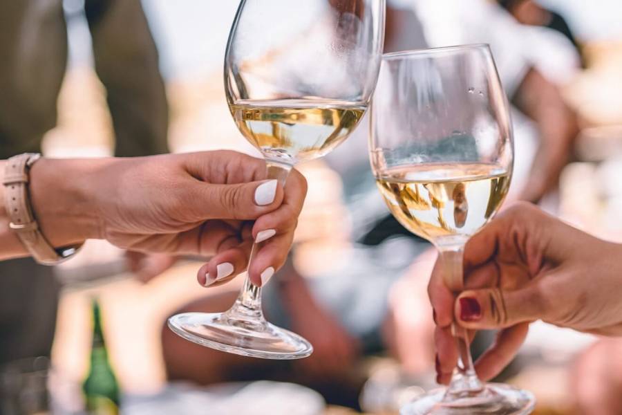 Wine tasting and winery tour 257